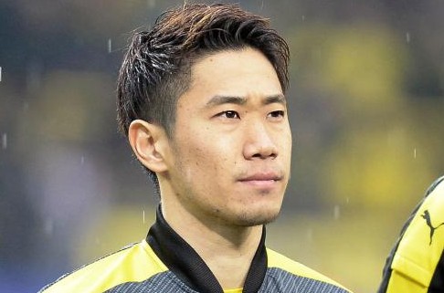 中国小帅男男gayxnxx应用