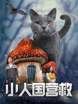 爱情链
