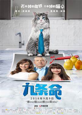 久久精品国产在热久久2019