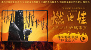 欧美一区二区三区免费观看