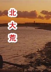手机版毛片
