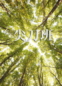 色丁香久久