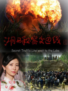 自动停车29岁普通人车里